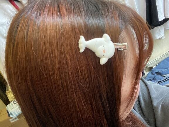 つけてみた🐬