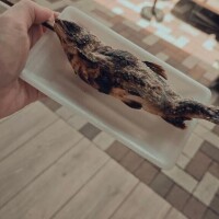 一条まき