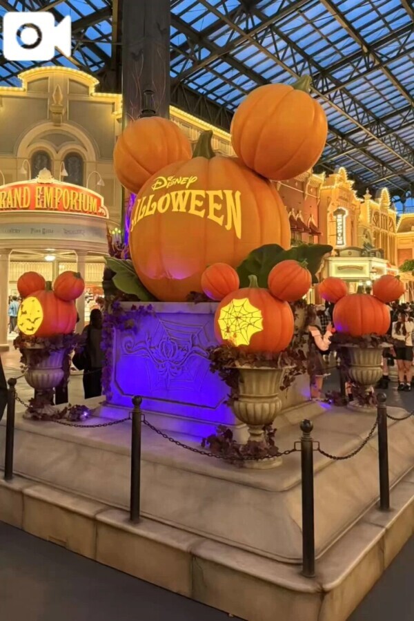 休み中、ここに行ってた❣️