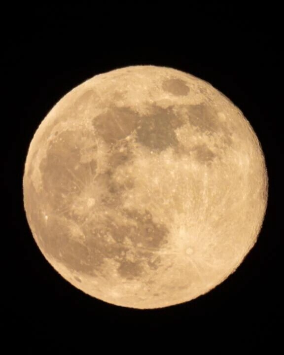 - ̗̀ ✨🌟🌕🌟✨  ̖́-