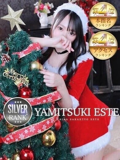 サンタパネル🎅