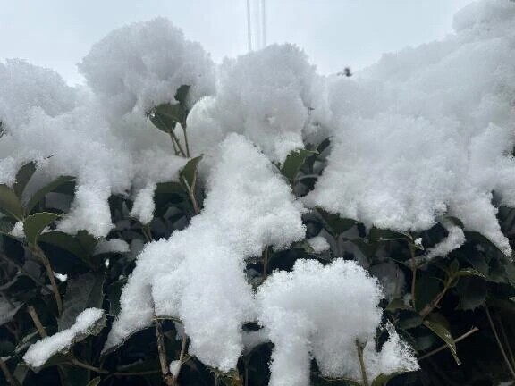 聞いてない⛄️