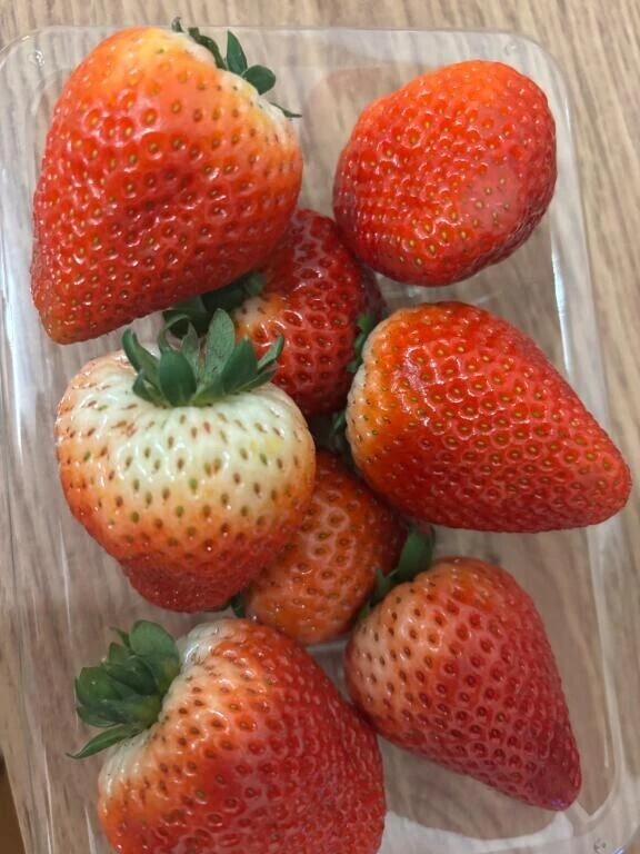 おやすみなさい