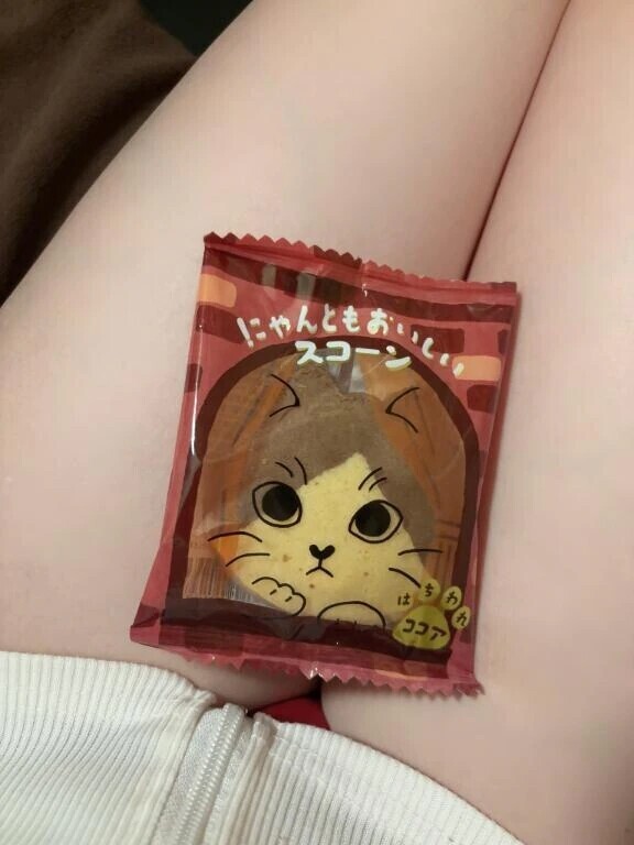 通い妻？