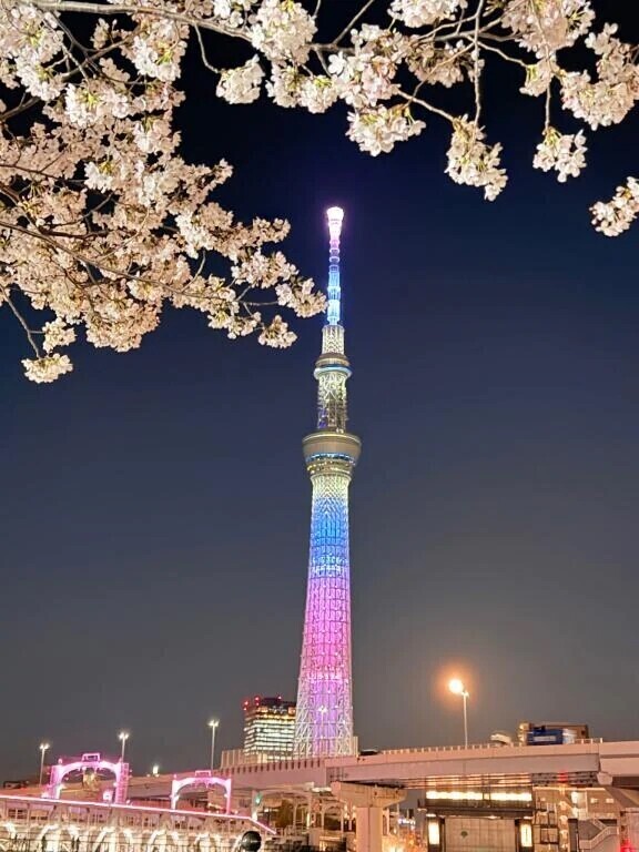 やっと🌸