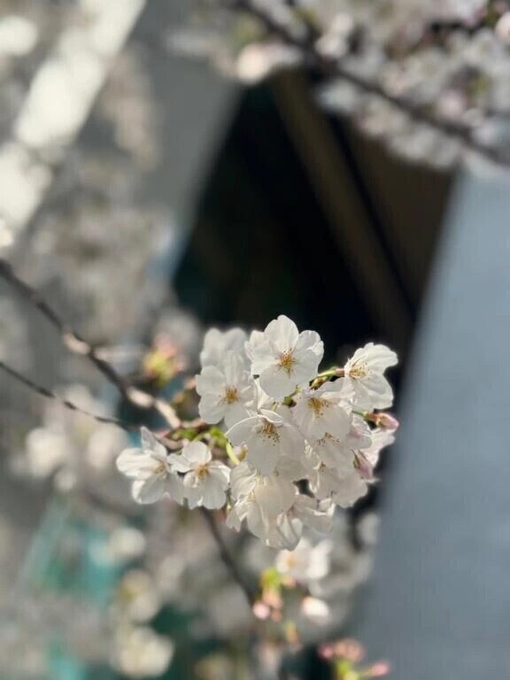待ってて🥺