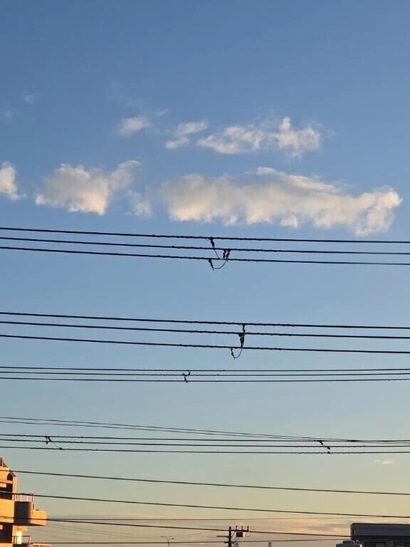 おはよー