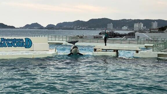 最近ハマってる事🐟
