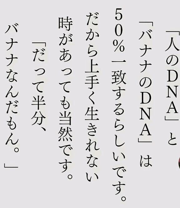 今はいいんだよ。