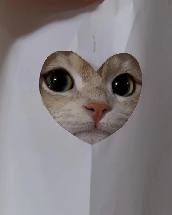 らぶもこのあと〜🈳💗
