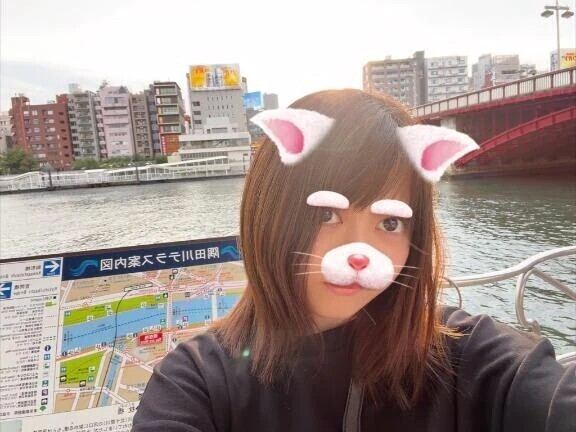🐱