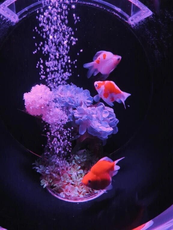 それでも光に手を伸ばす