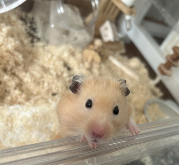 7月5日