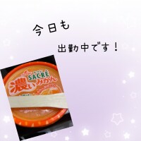 9月13日