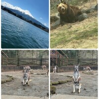 楽しかった