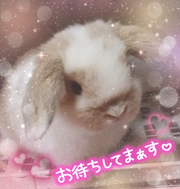 4月17日
