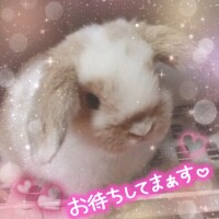 4月17日