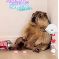 5月1日