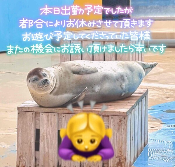 おやすみです