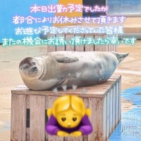 おやすみです
