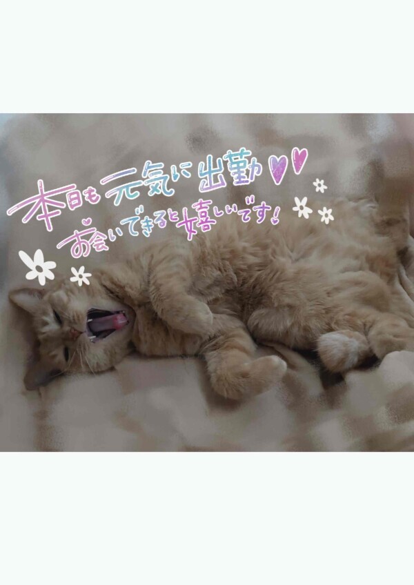 しゅっきん