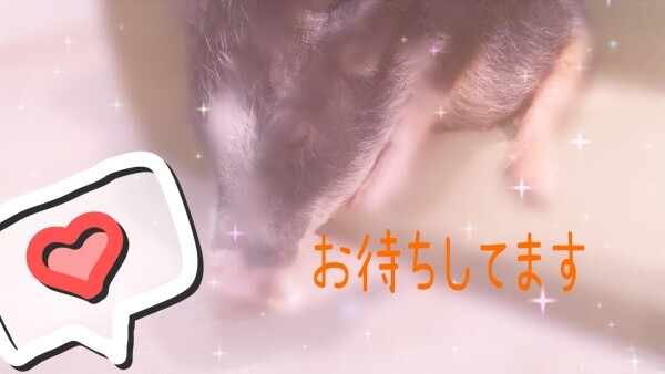 18時~出勤