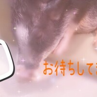 みか
