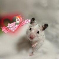 6月28