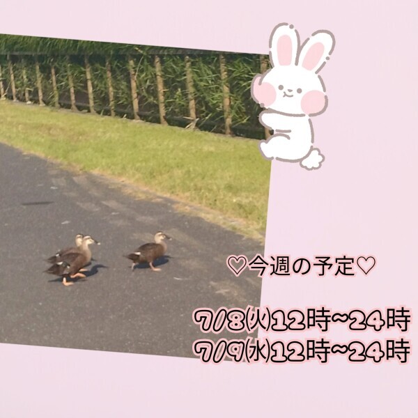 7月8日*･ﾟ