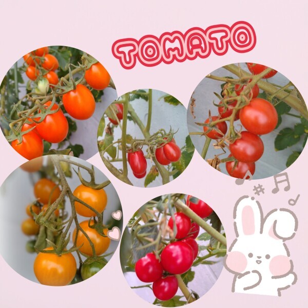出勤してます*･ﾟ