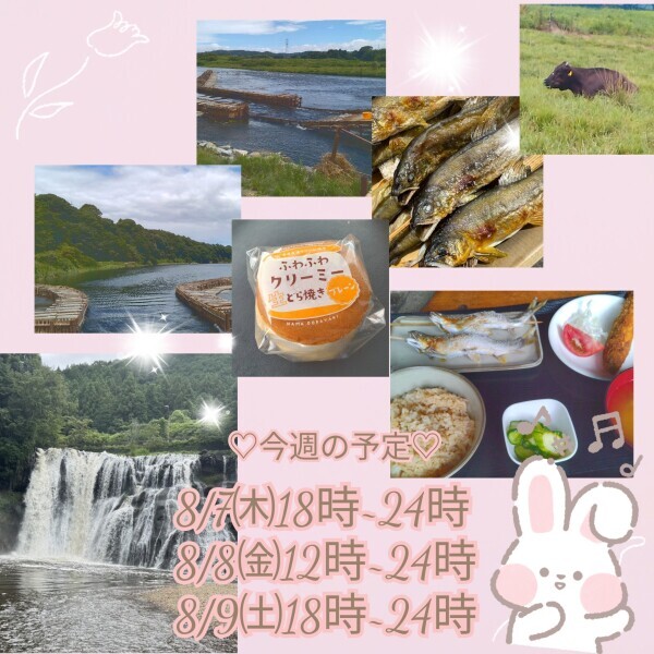 Aug.*･ﾟ