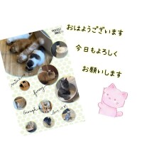 みぃ
