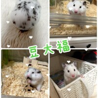 5月1日