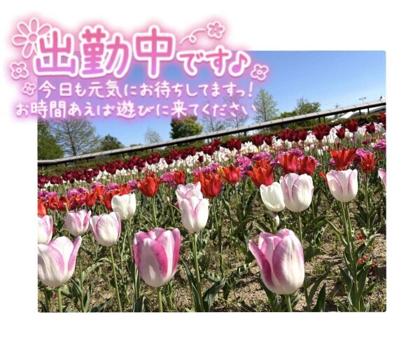 しゅっきん