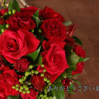 【千葉⑤】お礼です♥️
