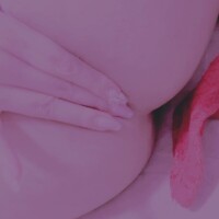 お兄様を