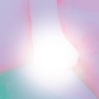 お兄様の…