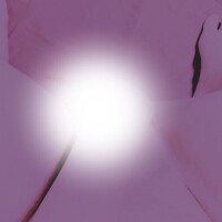 おはよございます