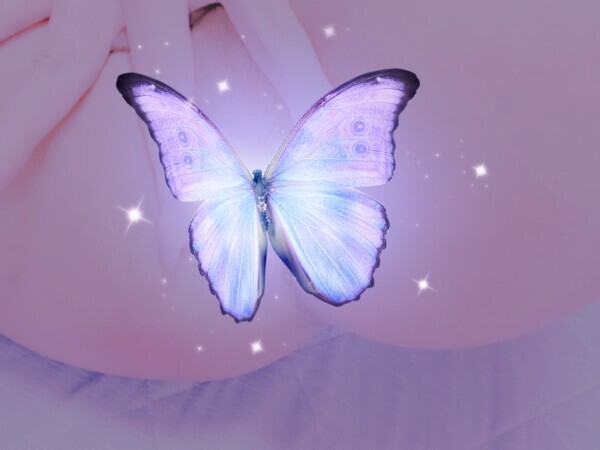 めすあなに