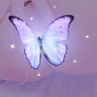 めすあなに