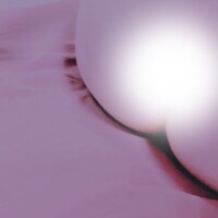 毎日