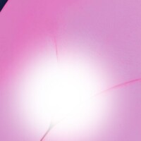 最近ね