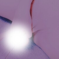 お兄様の