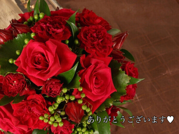 【千葉③】お礼です❤️