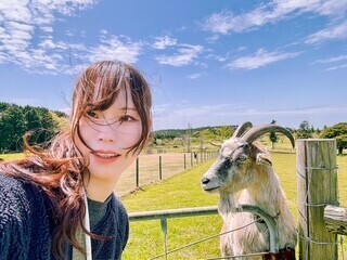 今日もよろしくお願いします