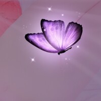 このあと