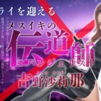 こんばんは♪