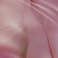 おはよおございます☺️