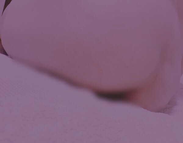 お兄様のこと