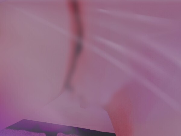 毎日